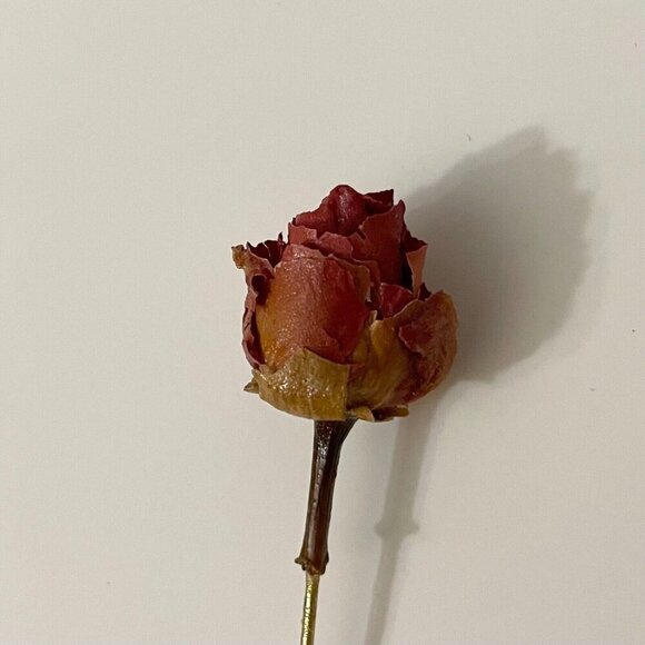 Vintage Dried Rose Bud Lapel Stick Pin - Picture 2 of 13